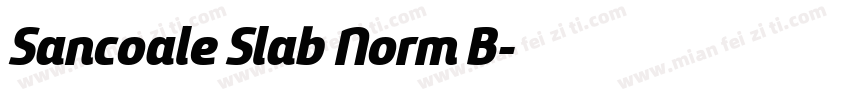 Sancoale Slab Norm B字体转换
